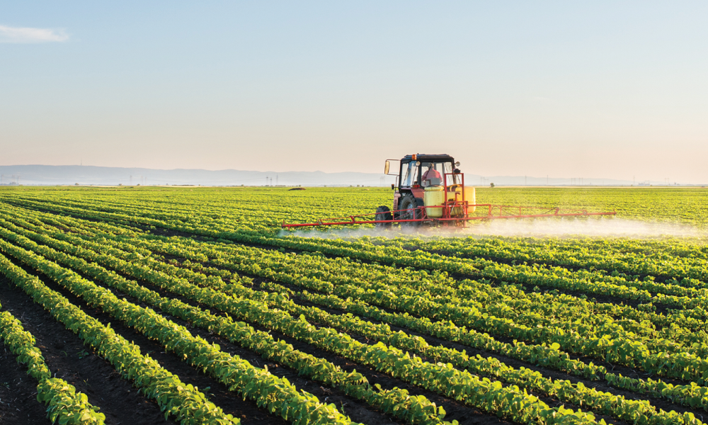 Tractor cultivating field